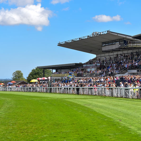 Beverley Racecourse Image