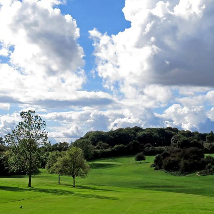 Beverley Westwood Image